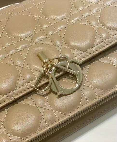 Christian Dior My Dior Top Handle bag